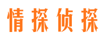 泸定侦探调查公司